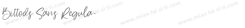 Bittods Sans Regula字体转换